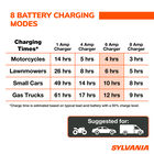 SYLVANIA Smart Charger - 6 Amp, , hi-res