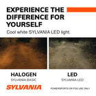 SYLVANIA H11 LED Fog & Powersports Bulb, 2 Pack, , hi-res