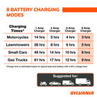 SYLVANIA Smart Charger - 8 Amp, , hi-res